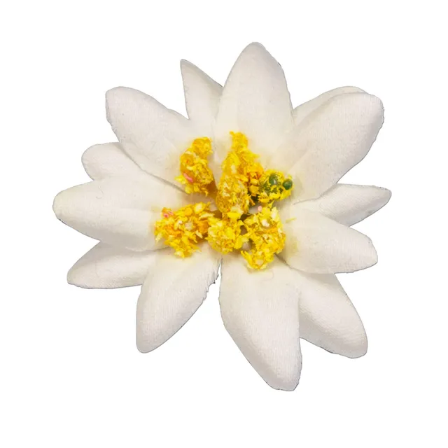 Alpenflüstern DAHEIM API117 Pin Edelweiss-Stoffblüte creme-weiß